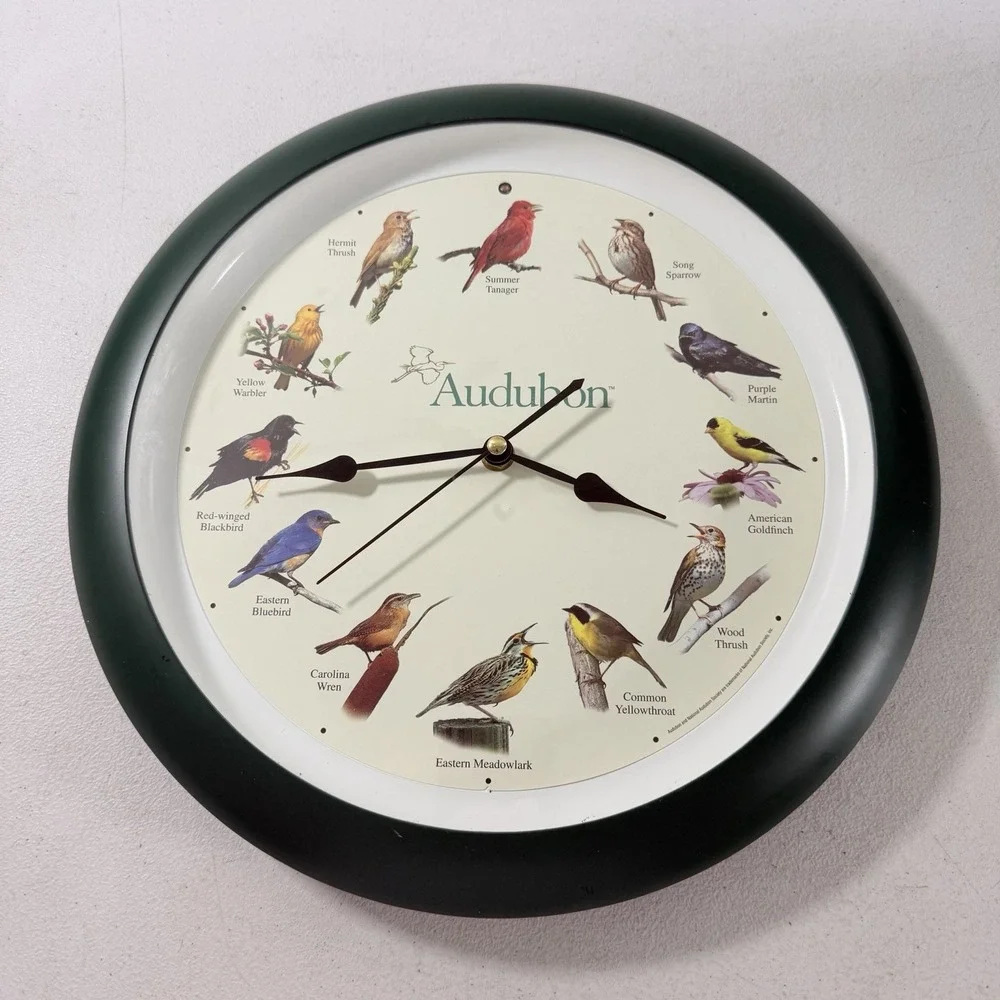 Audubon Society Singing Bird Wall Clock, Green Frame, 13